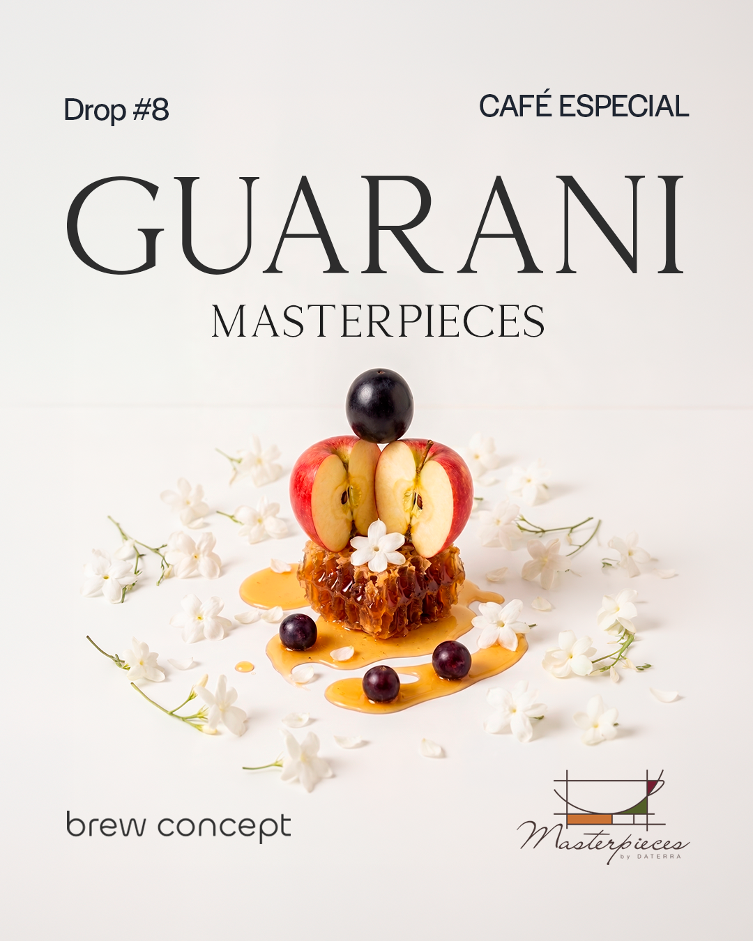 8 - GUARANI