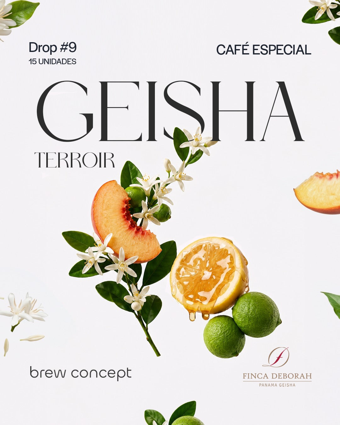 9 - GEISHA