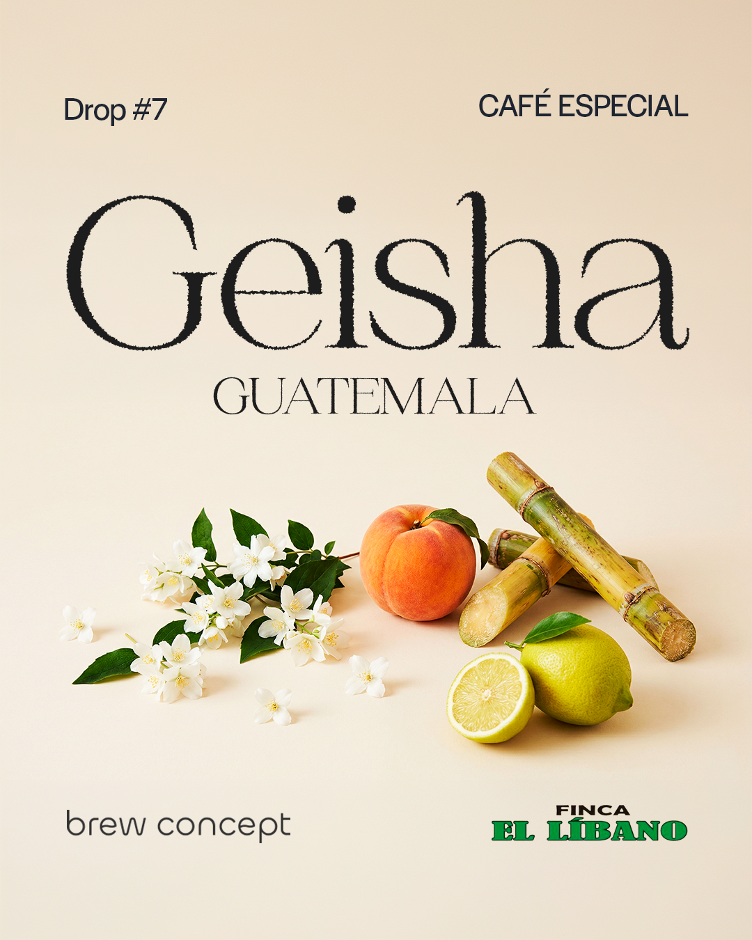 7 - GEISHA