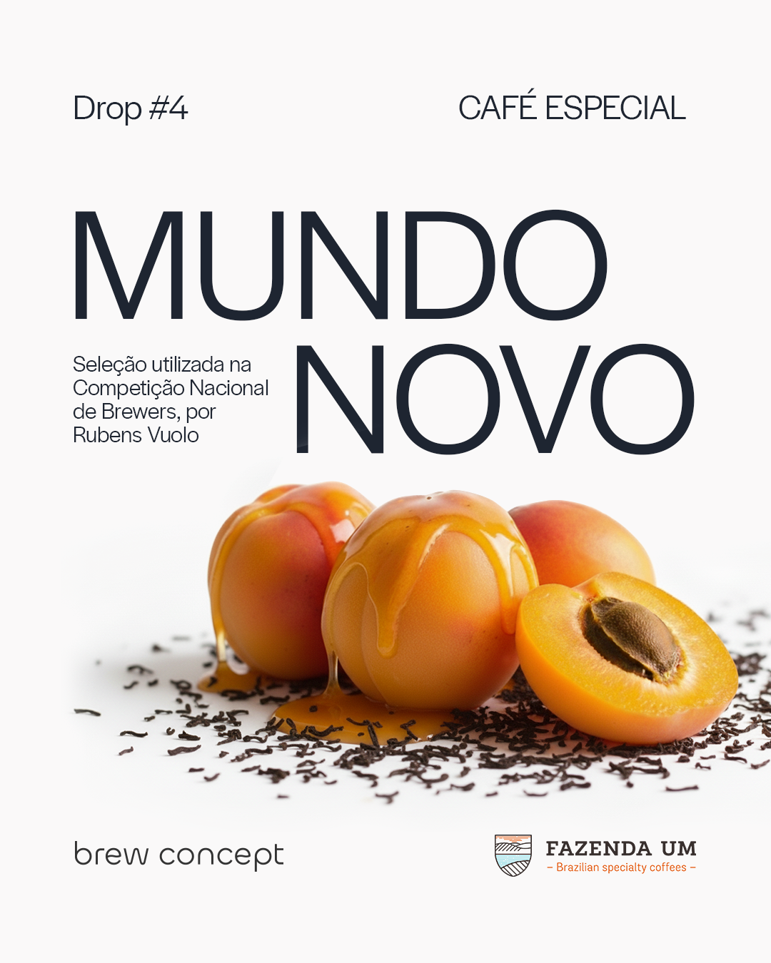 4 - MUNDO NOVO